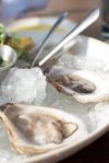 Oysters_3